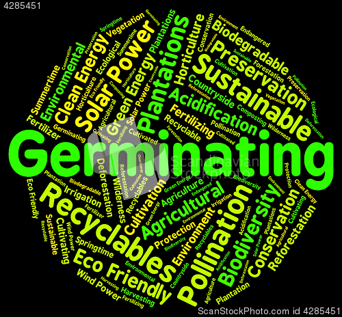 Image of Germinating Word Represents Growth Cultivation And Cultivate