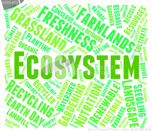 Image of Ecosystem Word Indicates Earth Environmentally And Biospheres