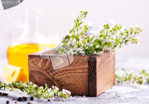 Image of thyme