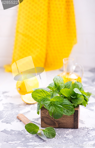 Image of fresh mint