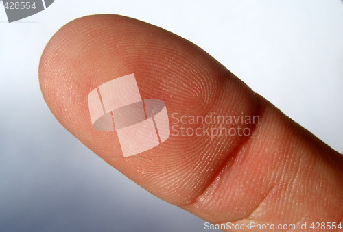 Image of Fingerprint