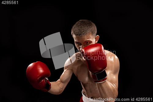 Image of Male boxer boxing with dramatic edgy lighting in a dark studio