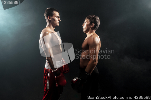 Image of Two professional boxer standing on black smoky background,