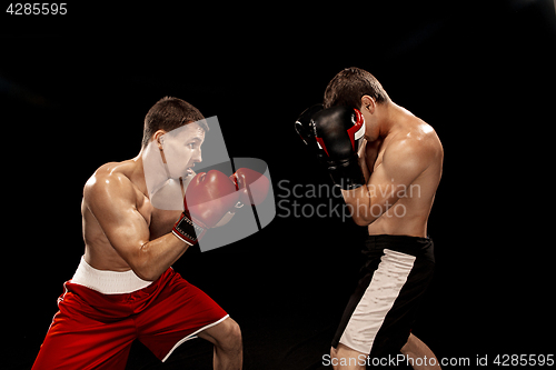 Image of Two professional boxer boxing on black background,