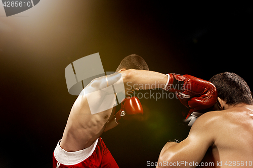 Image of Two professional boxer boxing on black background,