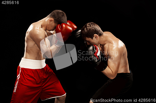 Image of Two professional boxer boxing on black background,