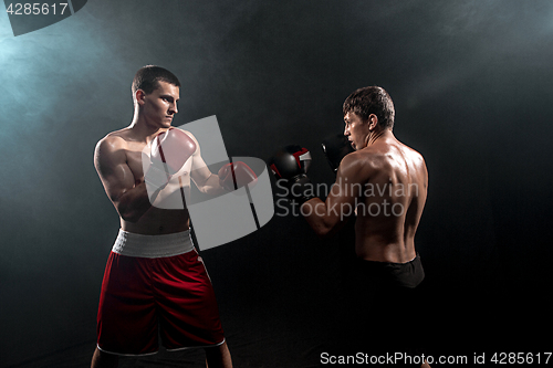 Image of Two professional boxer boxing on black smoky background,