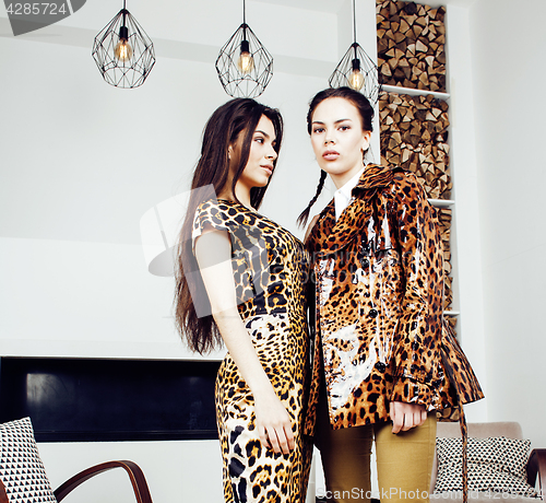 Image of pretty stylish woman in fashion dress with leopard print together in luxury rich room interior, lifestyle people concept, modern brunette together 