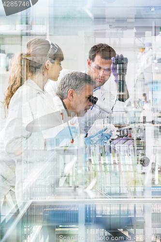 Image of Health care researchers working in scientific laboratory.