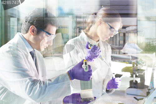 Image of Life scientist researching in the laboratory.