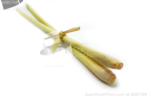 Image of Fresh lemon grass on white background