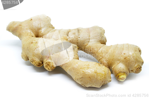 Image of Fresh ginger isolated on white background.