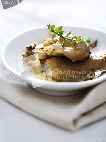 Image of cooked oyster mushrooms