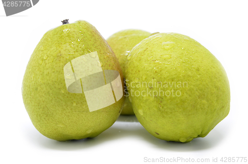 Image of Chinese fragrant pear 