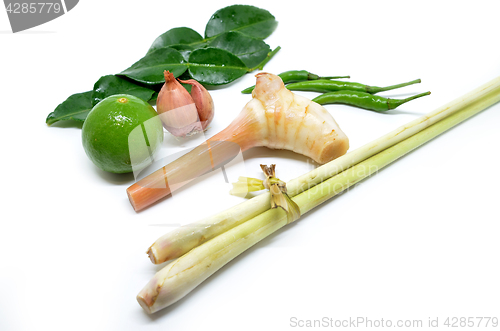 Image of Thai Tom Yam soup herbs