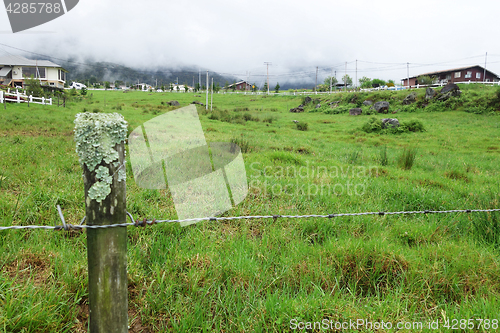 Image of Cattle Farm in Kundasang Sabah