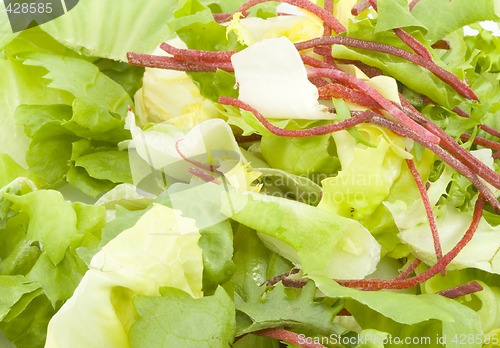 Image of Green Salad
