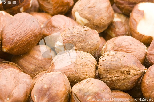 Image of Hazelnuts