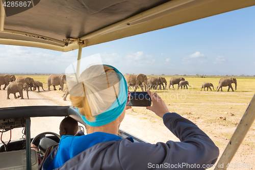 Image of Woman taking photos on african wildlife safari. Amboseli, Kenya.