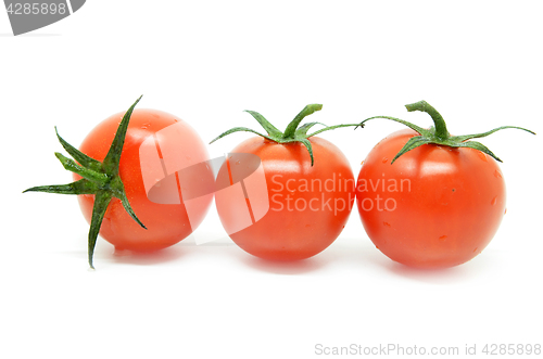 Image of Red cherry tomato