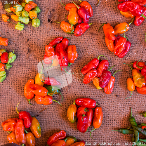 Image of Red paprika being sold at local food market.