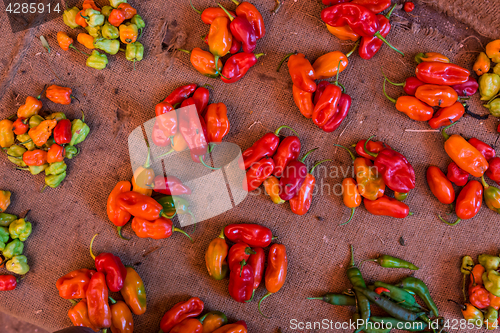 Image of Red paprika being sold at local food market.