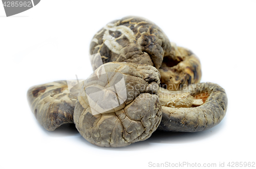 Image of Dried shitake mushroom
