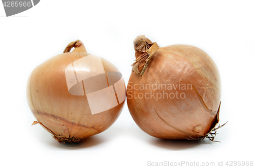 Image of Two onion bulbs 