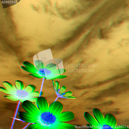 Image of Beautiful Cosmos Flower against the sky. 3D illustration.. Anagl