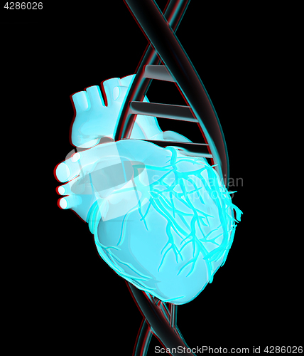 Image of DNA and heart. 3d illustration. Anaglyph. View with red/cyan gla