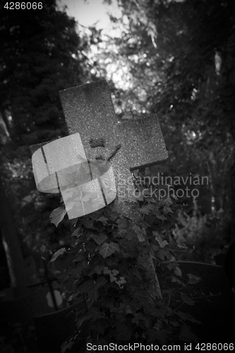 Image of Graveyard in Poland