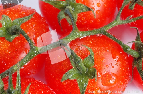 Image of Wet Tomatoes