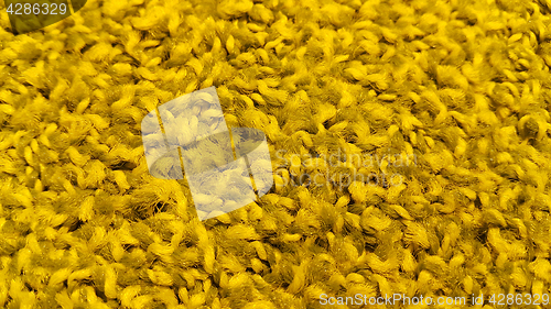 Image of Bright yellow carpet texture