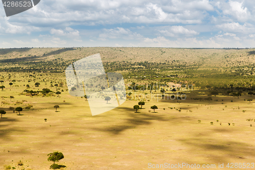 Image of maasai mara national reserve savanna at africa
