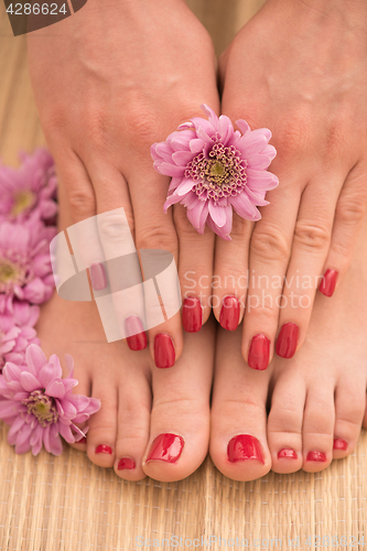 Image of female feet and hands at spa salon