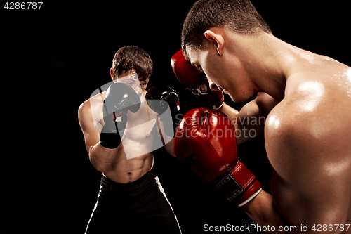 Image of Two professional boxer boxing on black background,