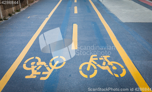 Image of Bicycle signs painted on asphalt