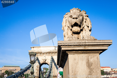 Image of BUDAPEST, HUNGARY - 2017 MAY 19th: lion statue at the beginning 