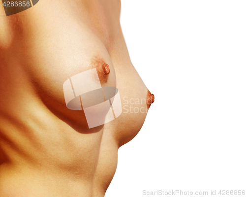 Image of Closeup of beautiful nude breast 