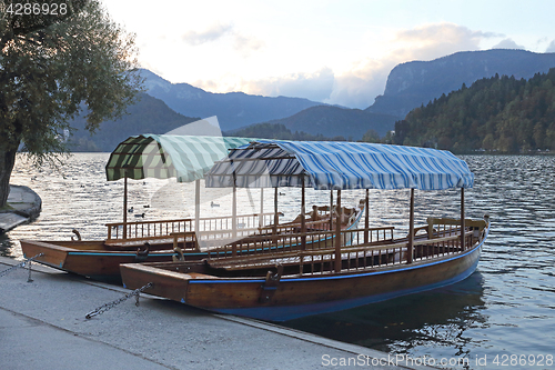 Image of Boats at Bled