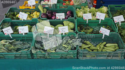 Image of Green Vegetables