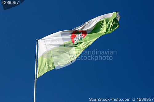 Image of Ljubljana Flag