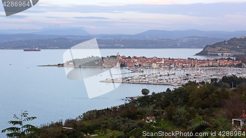 Image of Izola