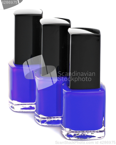 Image of Three Shades of Purple