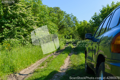 Image of Blue car in forest