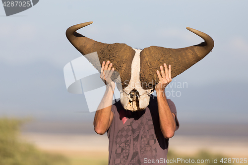 Image of Man holding big african buffalo skull wearing it like a mask in nature on african wildlife safari.