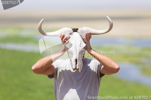 Image of Man holding a white wildebeest skull wearing it like a mask in nature on african wildlife safari.