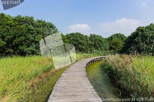 Image of Wetland