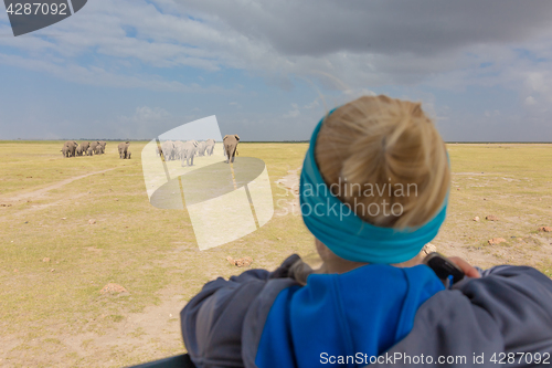 Image of Woman watching herd of elephants on african wildlife safari. Amboseli, Kenya.