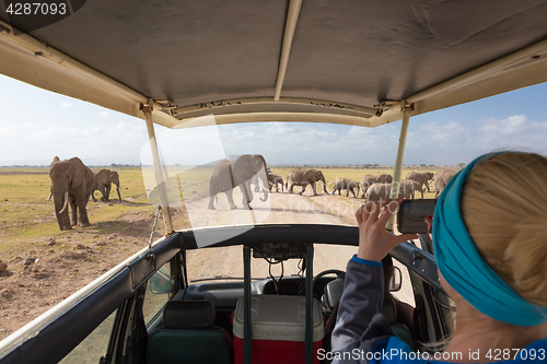 Image of Woman taking photos on african wildlife safari. Amboseli, Kenya.